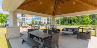 Hawthorne at Pine Forest Gallery 18