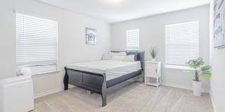 7019 CAPELLA CV Gallery 33