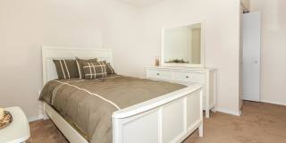 Millennium Apartments Gallery 37