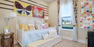 4552 Water Oak Terrace Gallery 2