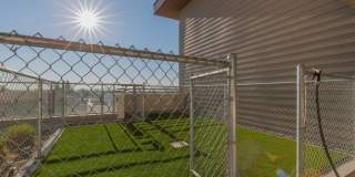 Linden Apartments Gallery 23