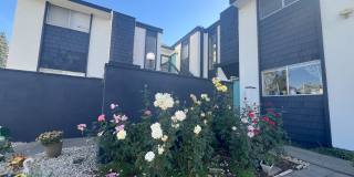 1160 Arthur Street - A Gallery 1