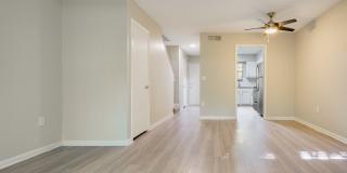 Rosen at North Hills Gallery 11