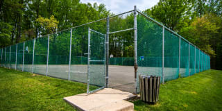 Ashley Apartments Gallery 28