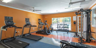 Jamison Park Jamison Park Gallery 1