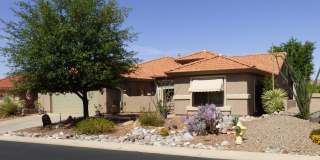 36716 S STONEY FLOWER Drive 36716 S STONEY FLOWER Drive Gallery 2