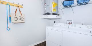 Ariel Springs Gallery 32