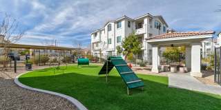 Castile Apartments Gallery 16