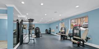 Reston Glade Gallery 20