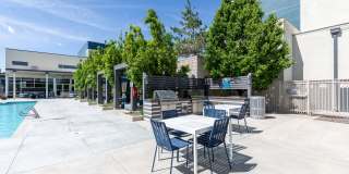Arista Uptown Gallery 14