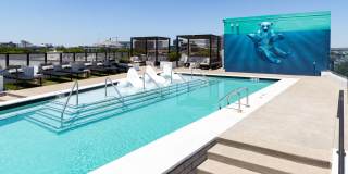 Novel Edgehill Gallery 18