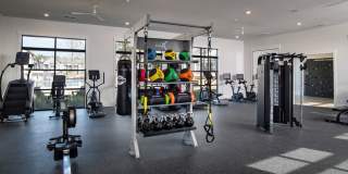 The Heron at River Island Gallery 29