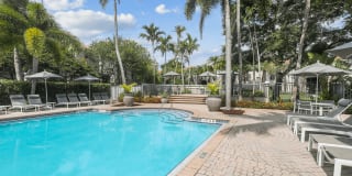 Coconut Palm Club Gallery 6