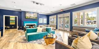 Olympus Carrington Gallery 18