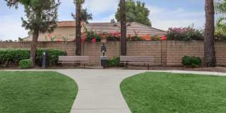 Senior Housing - Villa Serena Senior Apartments Gallery 38