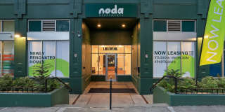 Noda Gallery 41