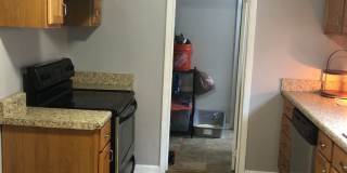 Cozy Cottage in Waverly Belmont Neighborhood, Minutes to Belmont, 12th South and Wedgewood Houston with Fenced Yard, Pet Friendly Gallery 13