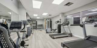 Academia Suites Gallery 12