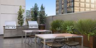 Roosevelt Lofts Gallery 25