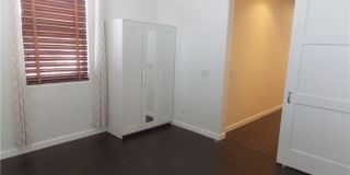 1208 Olivia Parkway Gallery 34