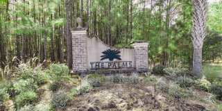 18 Sago Palm Way Gallery 28