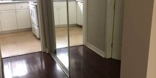 Rye 13506 Gallery 7