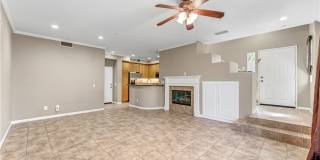 19 Gazania Gallery 1