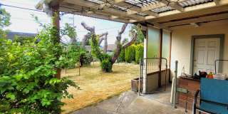 Charming Three Bedroom Home with Large Fenced Yard - Nevada St Gallery 27