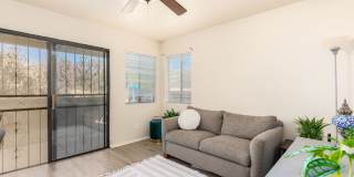 Oro Valley- 3 bedroom/ 3 bathroom home AVAILABLE MID AUGUST! Gallery 9