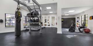 Alvista Hollywood Gallery 26