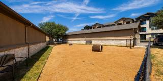 Carrington Oaks Gallery 21