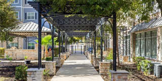 Lirio Gallery 25