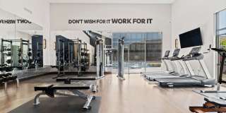 Kinsley Forest Gallery 17