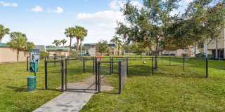 Buena Vista Gallery 44