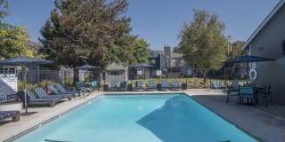 Cypress Creek Gallery 23