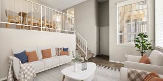 Coronado Palms Gallery 9