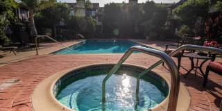 Light Filled 3-Story Townhome in Pool Community Gallery 14