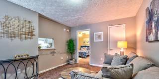 Buccaneer Court Gallery 13