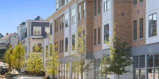 The Bradford Gallery 35