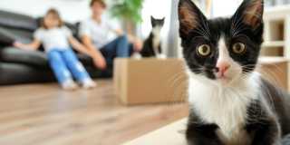 The Glen View Gallery 6