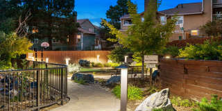 Arcadia Apartments Gallery 6