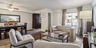 Del Coronado Gallery 4