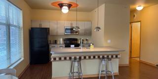 Settlement Place Gallery 1