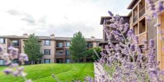 Echo Ridge Gallery 20