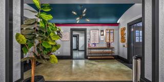 Quintessa Apartments Gallery 31