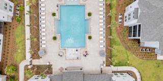 Tapestry Palmera Gallery 75