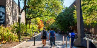 The Chestnut Gallery 34