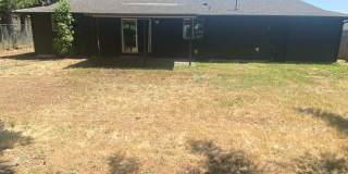 3 Bed Room 1.75 Bath , New Floor Covering , New Interior Paint 3 Bed Room 1.75 Bath , New Floor Covering , New Interior Paint Gallery 28