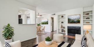 Del Coronado Gallery 1