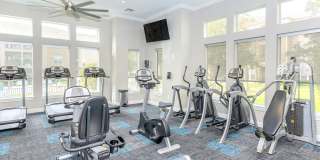 Woodland Point Gallery 21